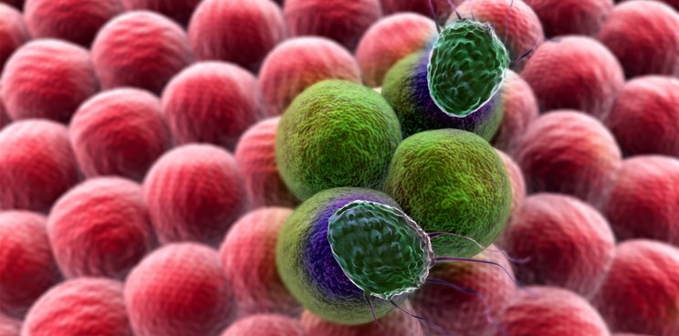 Cancer Research UK Teams Up with London Startup in Immuno-oncology